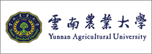 云南农大建工院